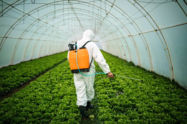 Best Mosquito Control Services  in Westminster, SC
