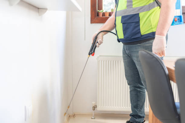 Best Wasp Removal Services  in Westminster, SC